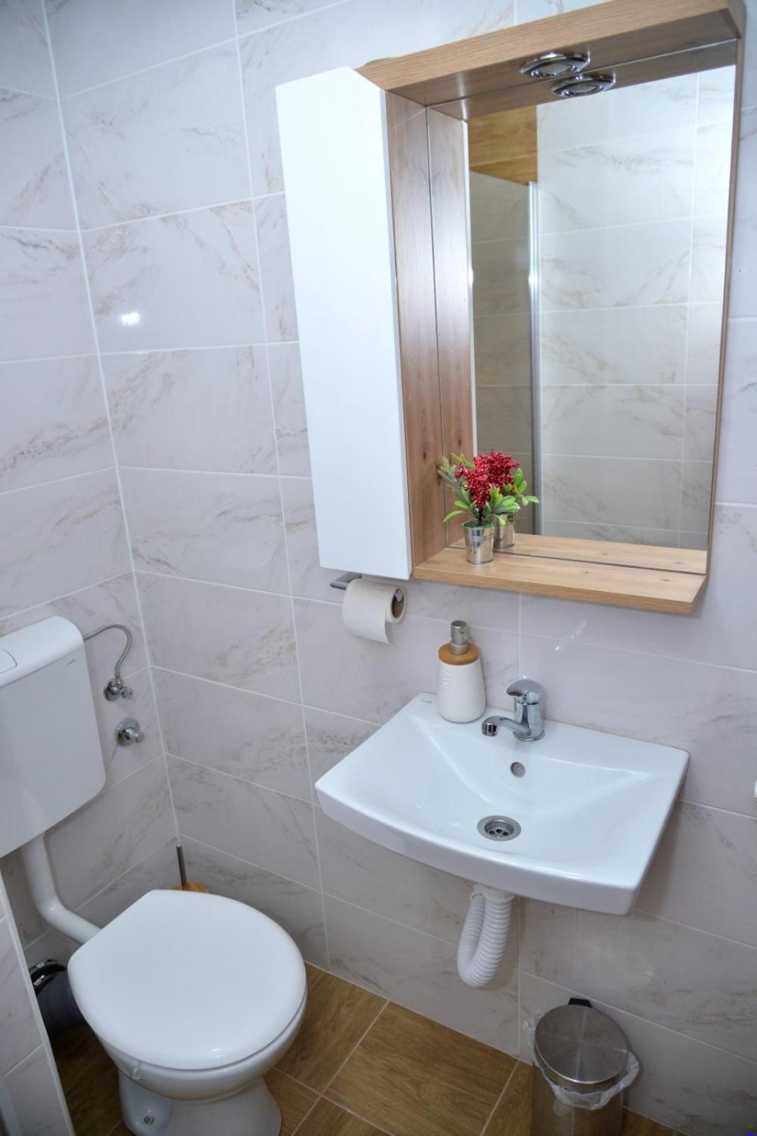 Apartman Ana Bečej Zewnętrze zdjęcie